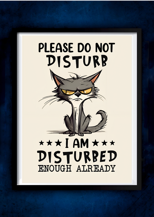 Do Not Disturb || Motivational Poste